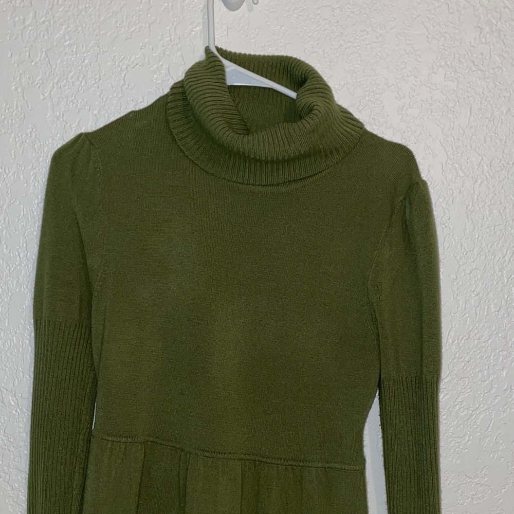 Take Out Olive Turtle/Cowl Neck Sweater Dress